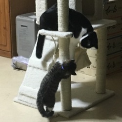 相手してくれないT_T