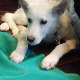 穏やで、とっても可愛い男の子。