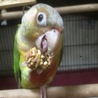 の写真