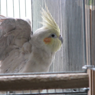 の写真
