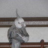 の写真