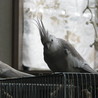の写真