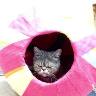 手作り猫ちぐら