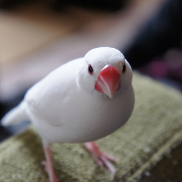 の写真