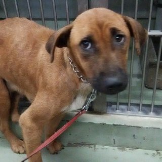 新しい家族に迎えられました！！