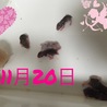 の写真