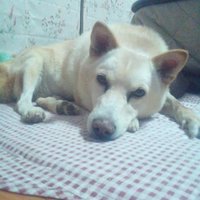まめぞう