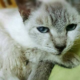 希望者さんがいなく、時間がありません!お願いします