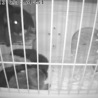 暗視カメラ設置！みんな仲良しです