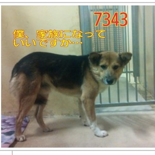 期限切迫！お問い合わせありません！