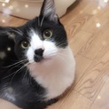 ルクちゃん