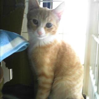 仲良し姉妹。ちゅらちゃん。