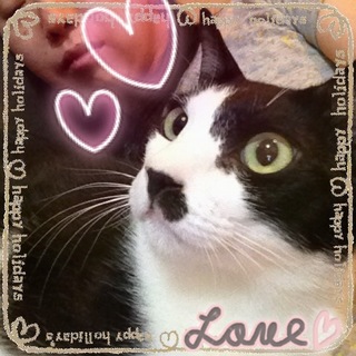 凄く甘えっ子です❤️