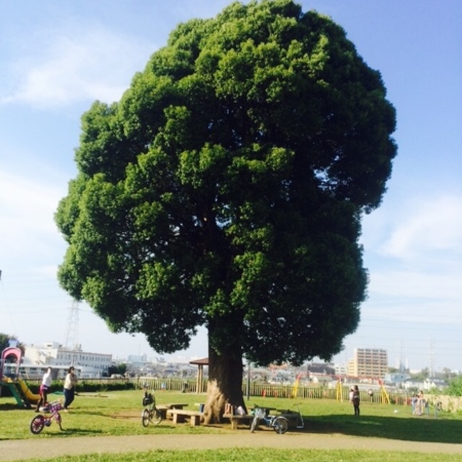 keito0910のカバー写真