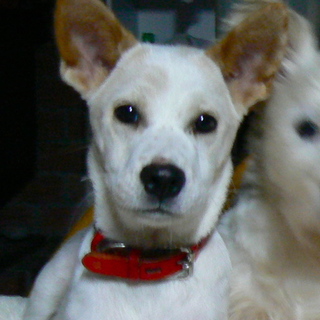 天真爛漫めげない娘、お〜ちゃん