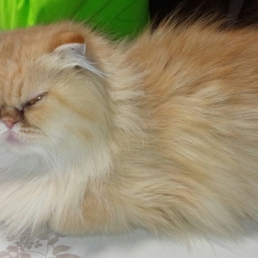 ねむすぎ(☆。☆)