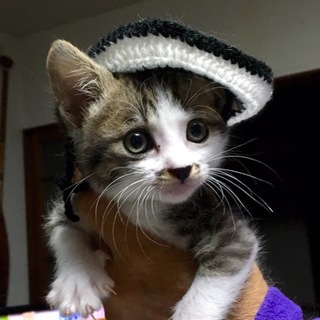 この子の家族に なって下さい