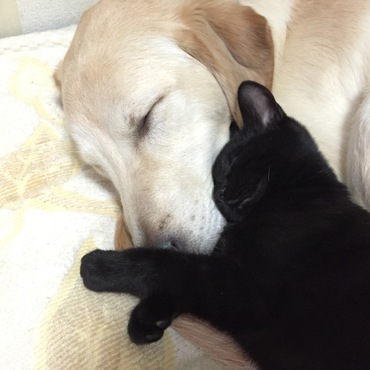 兄ちゃん大好き！