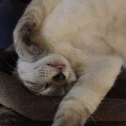 だいぶ慣れてくれました