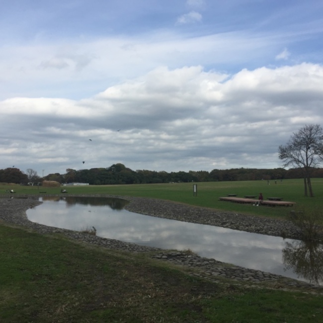 ゆりっちらのカバー写真