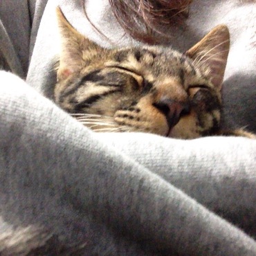 おやすみなさいー
