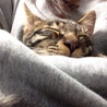 おやすみなさいー