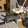 挨拶成功^_^