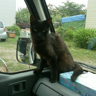 助けてください！！