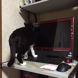 イタズラは永遠に☆