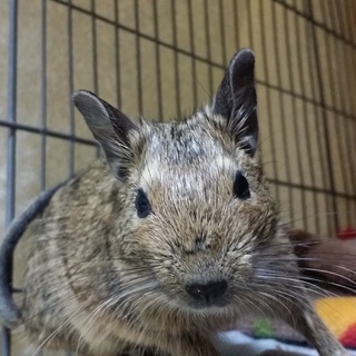 ありがとうございました！