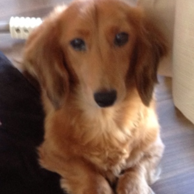 leoママのカバー写真