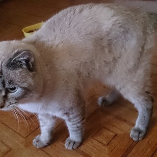 時間がありません!!