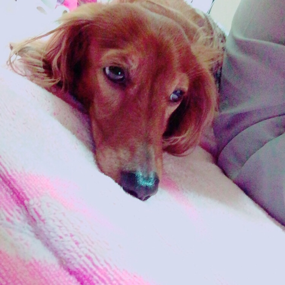 ケンのカバー写真