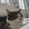タカダ1