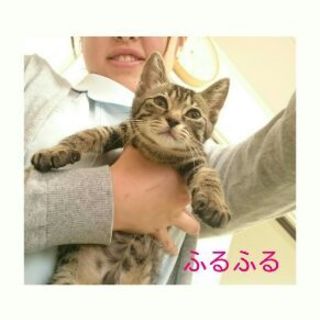 よく走ります‼︎元気なふるふる