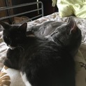 とても仲良し兄弟！