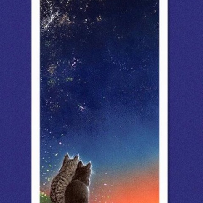 くま（熊本）のカバー写真