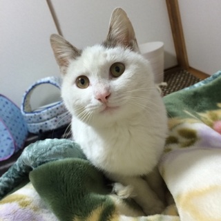 ※お問い合わせをいただいているため一時保留です