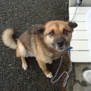 お正月はあたたかいところで過ごせます！！