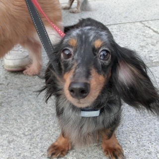 「くじら」人が大好きな甘ったれさん