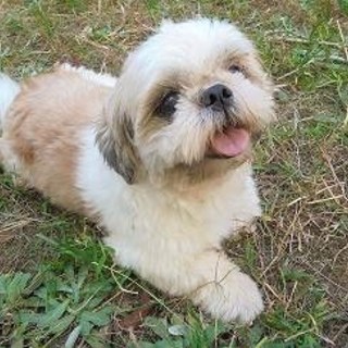 人懐こいボーイ君です♪