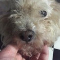 可愛がってくれる方探してます