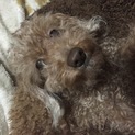 可愛がってくれる方探してます