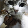 の写真