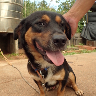 僕ゴミなの？オウチで暮らしたいな