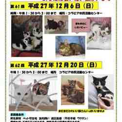 あなたに会いたい猫がいます　　おぶねこ譲渡会