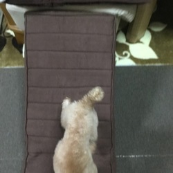 「テクテクスロープ」サムネイル2