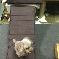 テクテクスロープ