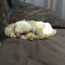 「テクテクスロープ」サムネイル3