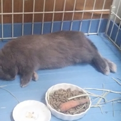 6か月になりました。